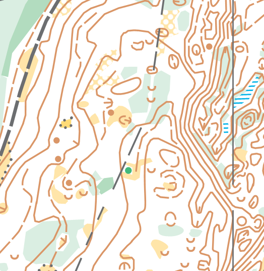 Map fragment – dune forest